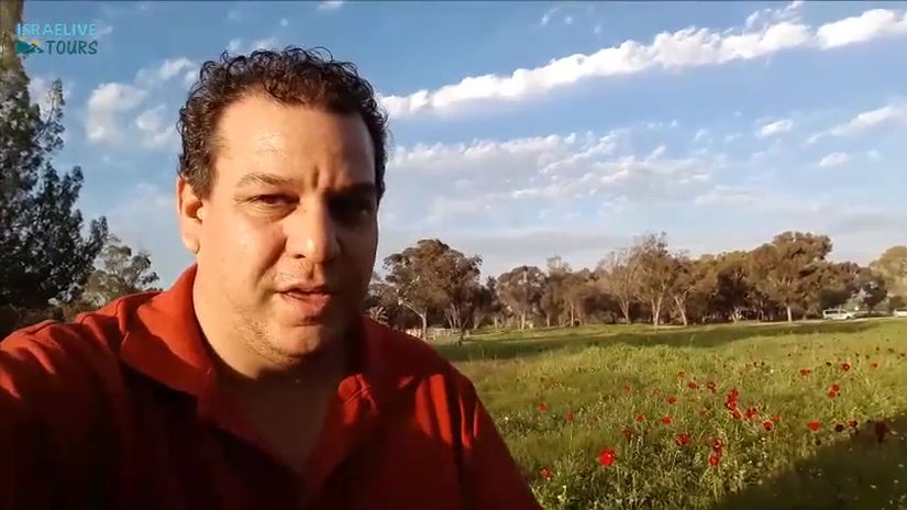 Red South Festival - flowers, history and family fun